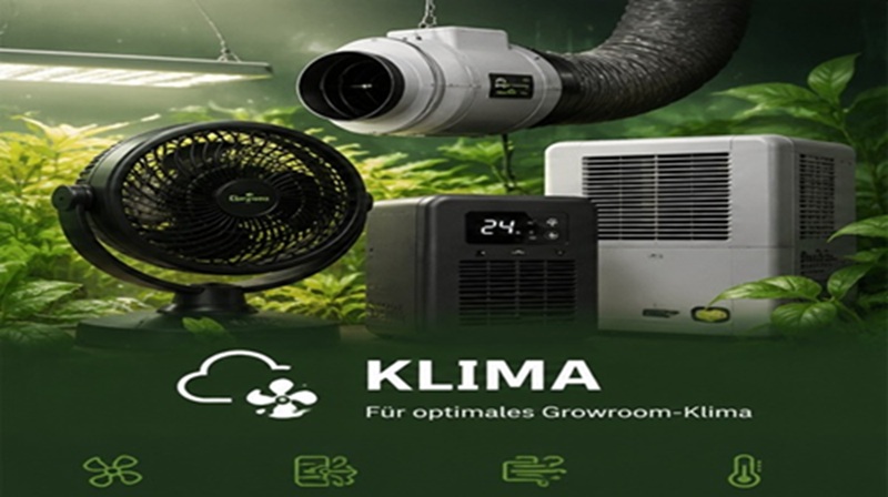 Klima